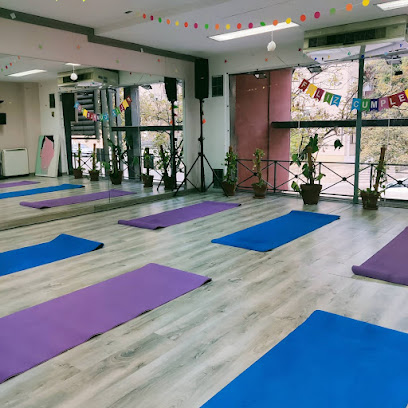 Sakura Fisioterapia Y Pilates