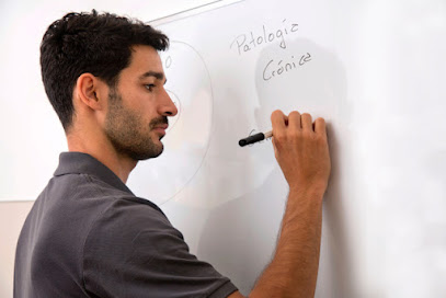 Samuel Melgar Pernía – Psiconeuroinmunología