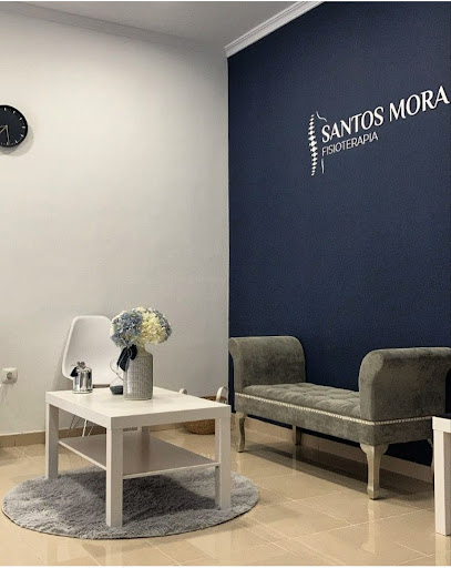 Santos Mora Fisioterapia – Clínica De Fisioterapia En Tomelloso