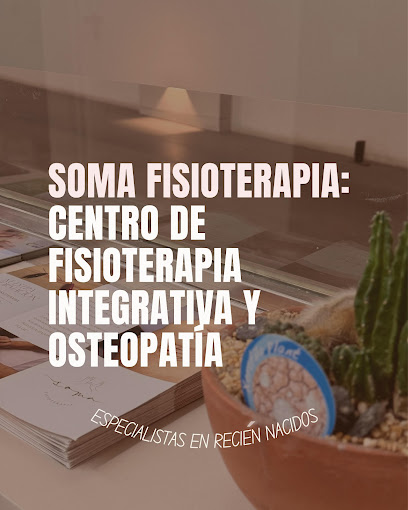 Soma Fisioterapia – Especialistas En Recién Nacidos