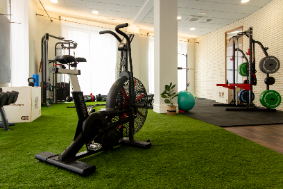 Swing – Fisioterapia Y Rehabilitación