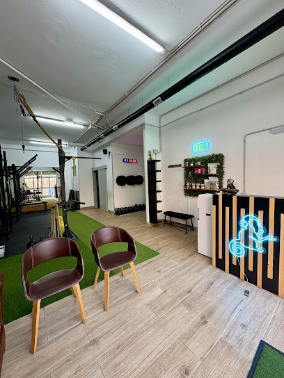 Thephysiomonkey Entrenamiento Y Fisioterapia