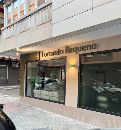 Torcuato Requena Fisioterapia