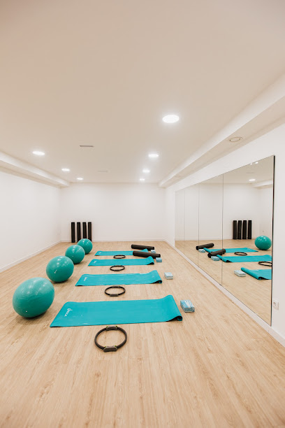 Vivo Fisioterapia Y Movimiento