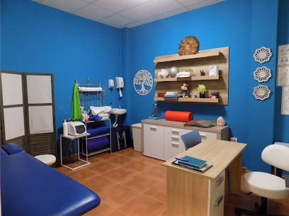 Yolanda Velez Fisioterapia