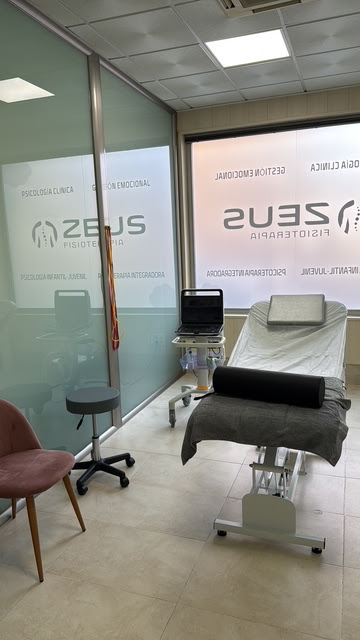 Zeus Fisioterapia Y Psicología Torrijos