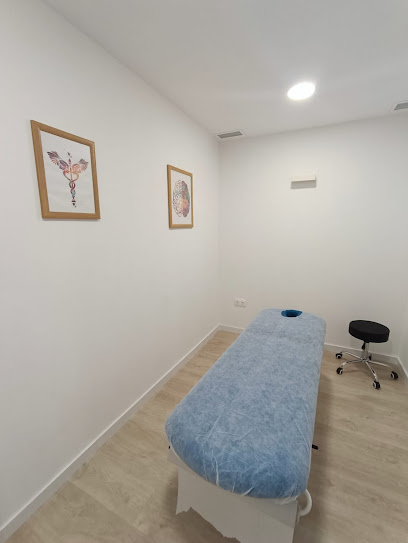 Zonus Salud
